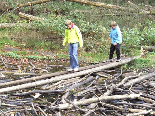 BILD0622
