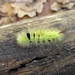 BILD0637