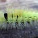 BILD0639