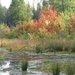 BILD0648