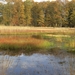 BILD0651