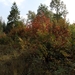BILD0652