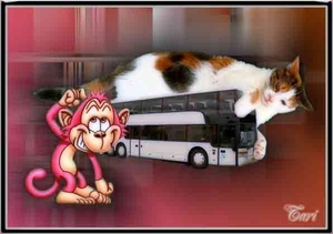 Tari