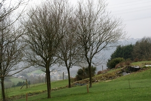 lipperscheid april 2010 020