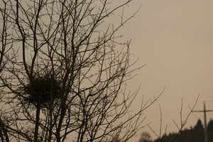 lipperscheid april 2010 022