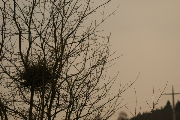 lipperscheid april 2010 022