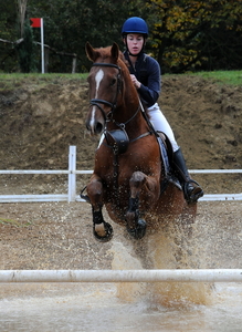 Foto paard2009-10-25_2