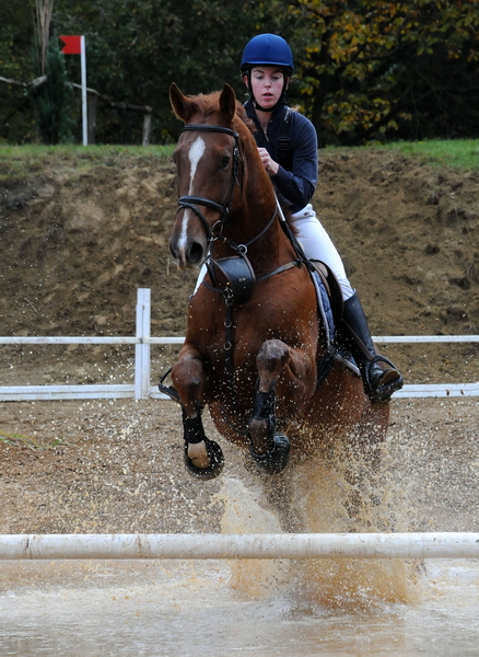 Foto paard2009-10-25_2