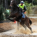 Foto paard2009-10-25_6