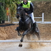 Foto paard2009-10-25_4