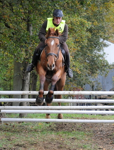 Foto paard2009-10-25_23