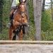 Foto paard2009-10-25_9