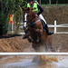 Foto paard2009-10-25_14