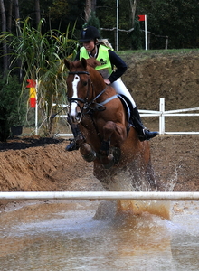 Foto paard2009-10-25_14