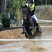 Foto paard2009-10-25_28