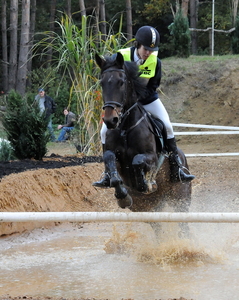 Foto paard2009-10-25_28