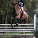Foto paard2009-10-25_26