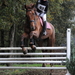 Foto paard2009-10-25_26