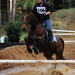 Foto paard2009-10-25_41