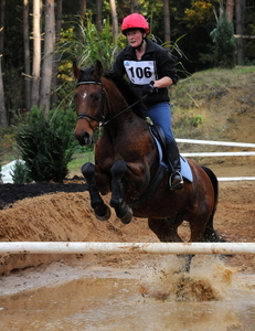 Foto paard2009-10-25_41