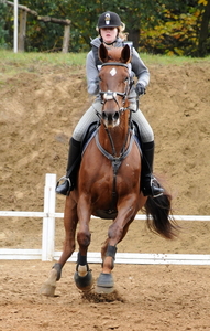 paarden tornooi Lummen 25-10-20092009-10-25_62