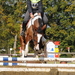 paarden tornooi Lummen 25-10-20092009-10-25_104