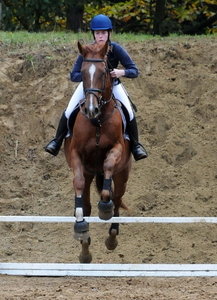 paarden tornooi Lummen 25-10-20092009-10-25_23