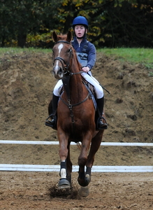 paarden tornooi Lummen 25-10-20092009-10-25_25