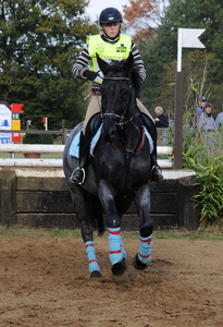 paarden tornooi Lummen 25-10-20092009-10-25_99