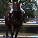 paarden tornooi Lummen 25-10-20092009-10-25_131