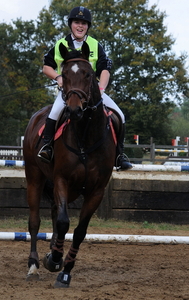 paarden tornooi Lummen 25-10-20092009-10-25_131