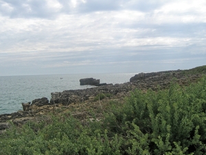 img_0649