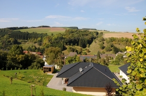 2009-09-22  008