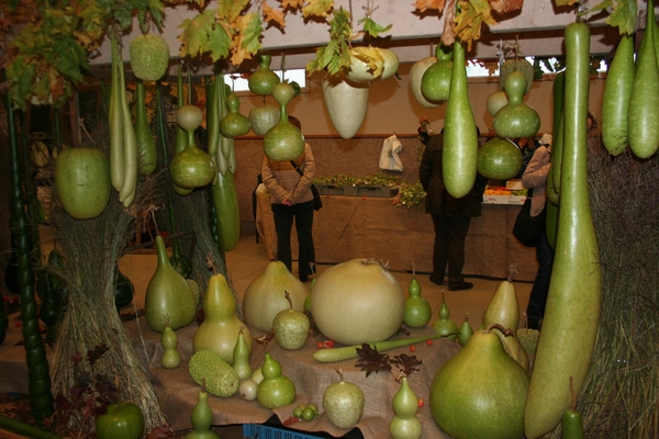 POMPOENEN 24 OKT 2009 002