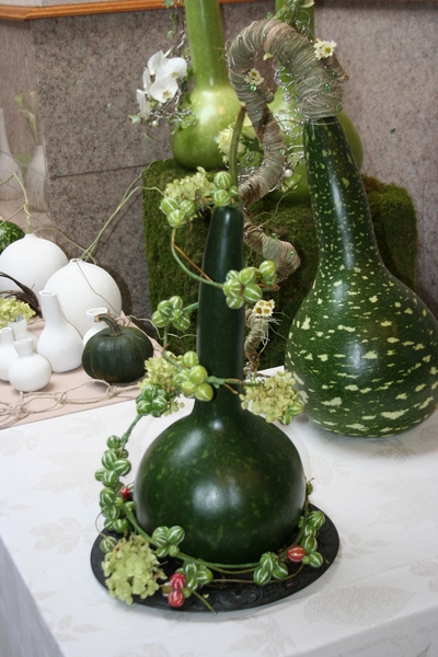 POMPOENEN 24 OKT 2009 009