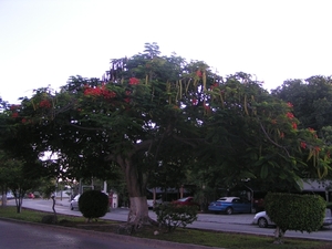 PICT0009
