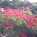 PICT0010