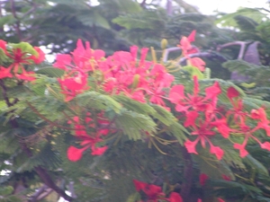 PICT0010