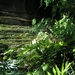 PICT0033