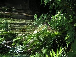 PICT0033