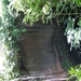 PICT0034