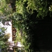 PICT0035