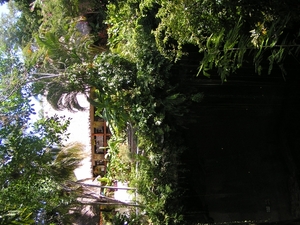 PICT0035
