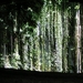 PICT0037