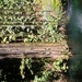 PICT0038