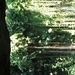PICT0039