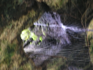 PICT0043