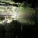 PICT0044