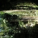 PICT0045