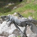 PICT0083